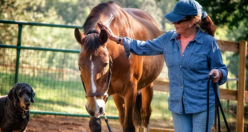 horses help seniors - therapy